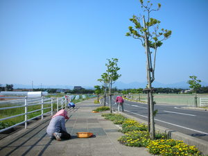 コナン通りの草取りをしたよ！