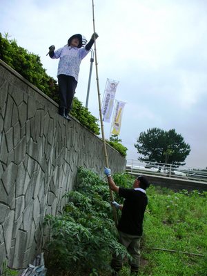 何をしているんでしょうか？？